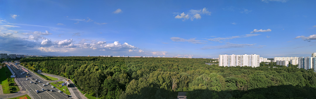 Бирюлёвский парк. Панорама липецкой улицы.