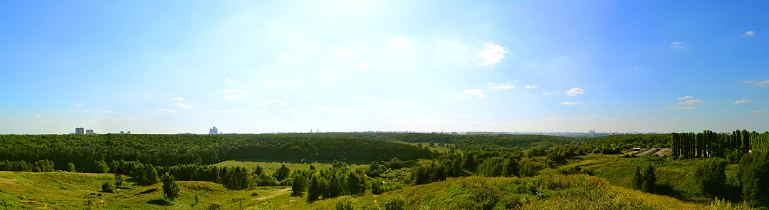 Панорама Бирюлёвского лесопарка из района Орехово-Борисово Южное